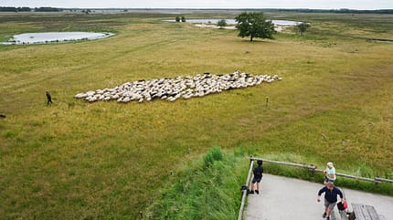 Niederlande, Nationalparks Sternenparks, Reisen Sternenparks Niederlande
