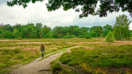 Niederlande, Nationalparks Sternenparks, Reisen Sternenparks Niederlande