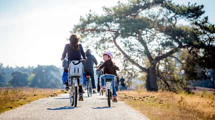 Niederlande, Nationalparks Sternenparks, Reisen Sternenparks Niederlande