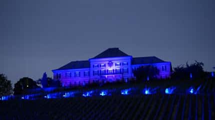 Rheingau, Deutschland, Wein, Urlaub Rheingau