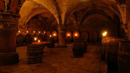 Rheingau, Deutschland, Wein, Urlaub Rheingau