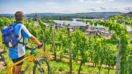 Rheingau, Deutschland, Wein, Urlaub Rheingau