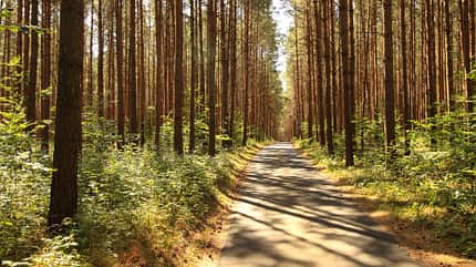 Brandenburg, Reisen, Kurz-Trip Kurz-Trip Brandenburg