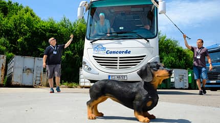 Technik Caravane Rallye Technik Caravane Rallye