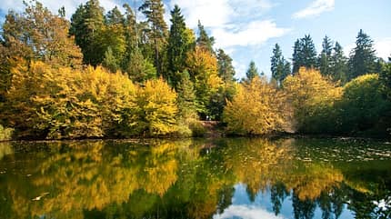 Herbst, Rheinland-Pfalz, Wanderung Herbst in Rheinland-Pfalz
