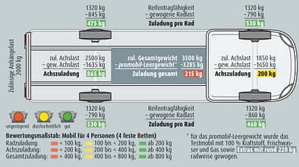 supercheck, Frankia neo Frankia Neo