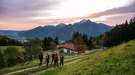 Wandern,Herbst,Sonnenaufgang,Wandergruppe,Personen,Michael Perschl,Wanderung,2020,Grassau,Alm,Wanderherbst,Rachlalm,Berge Chiemgau Herbst
