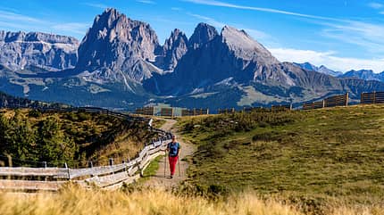 Suedtirol, Seiser Alm, wandern Seiser Alm wandern