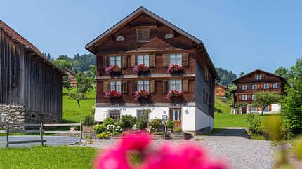 Reise, Bodensee, Campingplatz Bodensee Waldhaus