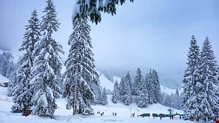 Rodelberge, Winter, Berge, Schnee AllgŠu Winter