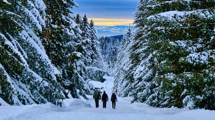 Rodelberge, Winter, Berge, Schnee Feldberg Winterwandern