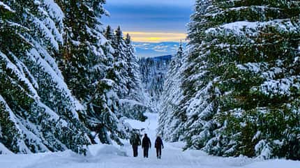 Rodelberge, Winter, Berge, Schnee Feldberg Winterwandern