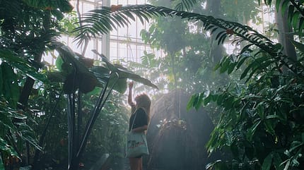 Winterreise, Ausflug, Deutschland Botanischer Garten