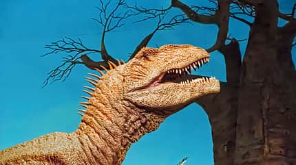Touren-Tipps Dinosaurier