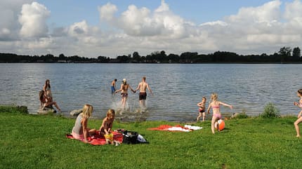 Mecklenburgische Seenpaltte