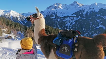 Montafon Lama Wanderung