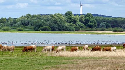 Stellplatz Brandenburg f Landschaft