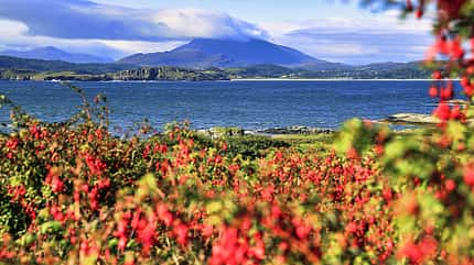 Irland, Reise, Camping Irland Reise Meer f
