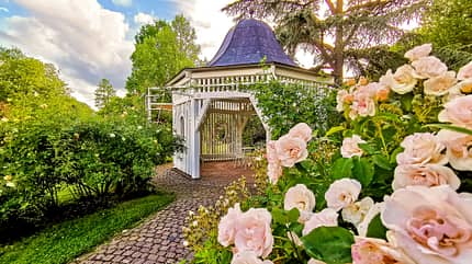 caravan, reise, pfalz Pfalz - Rosengarten