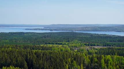 Camping Vaestanviksbadets f Naturum Dalarna