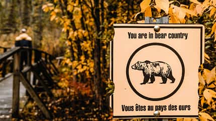 Yucon mit dem Van Baer  i