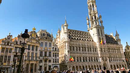 Belgien, Niederlande, Luxemburg, Bluemen, Reise Benelux im FrŸhling Belgien