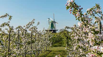 Reiseziele, Touren-Tipps, saisonales Reisen Reiseziele Deutschland i