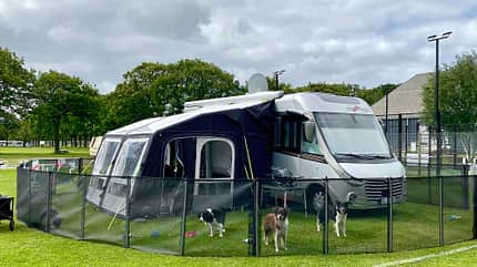 Reisen mit Hund Zaun