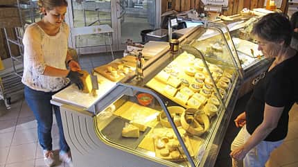 landvergnuegen, natur, kuehe, schweine, bueffel, kaese, reisefuehrer, wohnmobil, reisemobil, landwirtschaft Landvergnügen Käse
