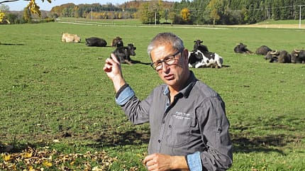 landvergnuegen, natur, kuehe, schweine, bueffel, kaese, reisefuehrer, wohnmobil, reisemobil, landwirtschaft Landvergnügen Weide Kühe