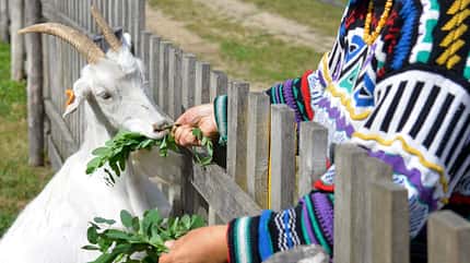 westpommern, ostsee, seenplatte, polen Westpommern - Farm