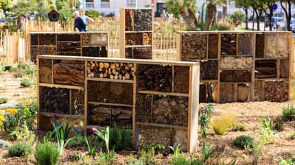 Festival des Jardins Cote d'Azur, Insektenhotel Festival des Jardins Cote d'Azur