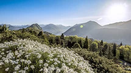 Parco San Grato Tessin