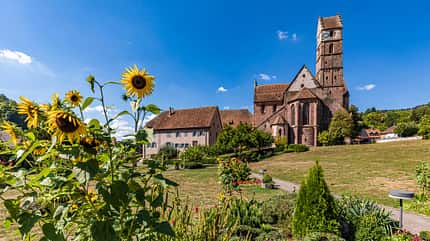 Alpirsbach, Kloster, Sonnenblume Alpirsbach, Kloster, Sonnenblume
