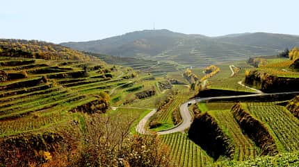 Kaiserstuhl in Baden, Baden, Reise, Tipps Kaiserstuhl in Baden Weinberge