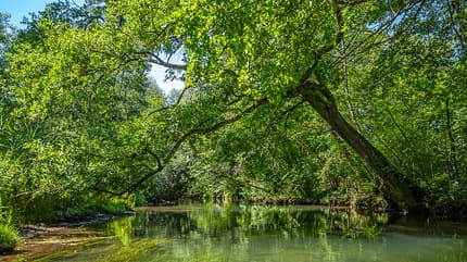 Wasserwandern, Kanu, Kajak, paddeln Wasserwandern Natur i