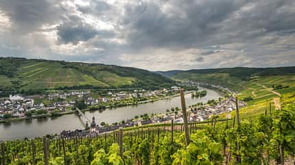 Mosel, Weinfeste, Wein Weinfeste an der Mosel Zell