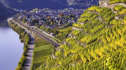 Mosel, Weinfeste, Wein Weinfeste an der Mosel Winningen