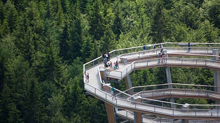 Schwarzwald, Bad Wildbad, Baumwipfelpfad, Schwarzwald Bad Wildbad, Baumwipfelpfad