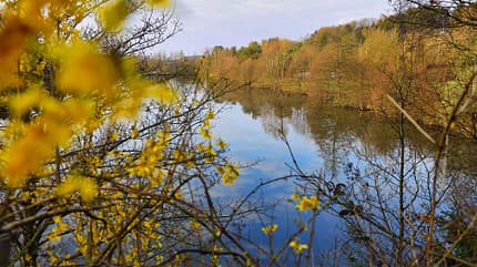 stellplatz, wohnmobil, oase, schwarzrindersee, deutschland Wohnmobil-Oase am Schwarzrindersee - Nordufer