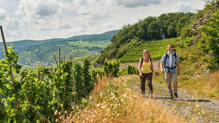Moselsteig, Mosel, Weinberge, Wandern Moselsteig