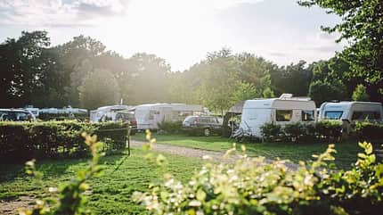 Campingplatz, Sonne, Caravans, Wiese, Blüten Campingplatz, Sonne, Caravans, Wiese, Blüten