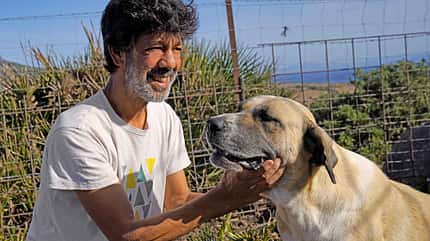 reise-tipp, tarifa, spanien Reise Tarifa - Hütehund