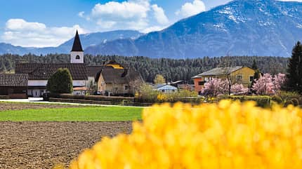 Dorfgemeinschaft, Feld, gelbe Blumen, Gebirge, alpines Flair Dorfgemeinschaft, Feld, gelbe Blumen, Gebirge, alpines Flair