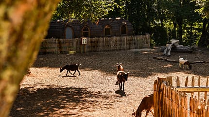 Hegi Familien Camping Hegi Familien Camping