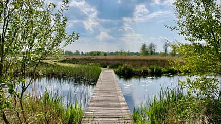 welterbe-stätten, unesco, wohnmobil, friesland, niederlande Friesland - Nationaal Park de Alde Feanen
