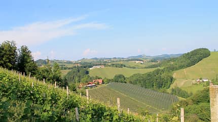 Oesterreich, Suedsteiermark Weinberge f