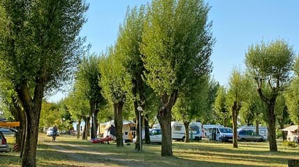Reise, Tuscia, Italien, Toskana Reise Tuscia Italien Bolsenasee f