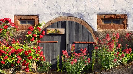 Pfalz Reise f