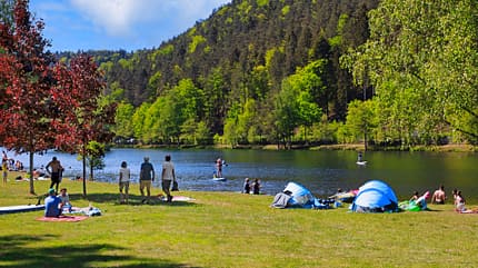 Pfalz Reise f